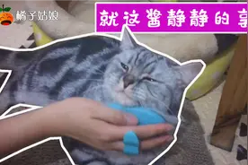 勤劳的铲屎官给猫咪梳毛，瞧这喵星人迷人的单眼皮，舒服的似神仙视频封面