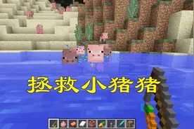 我的世界：新手攻略，驯服小鸡教学