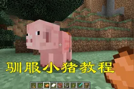 我的世界：之驯服可爱的小猪教程