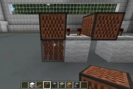 我的世界 超详细教学 如何建造漂亮房子81