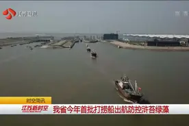 20艘渔船齐上阵！及时清理浒苔绿藻 水源污染防范未然