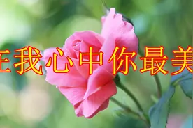 亲爱的，特意为你点了一首歌，在我心中你最美！视频封面