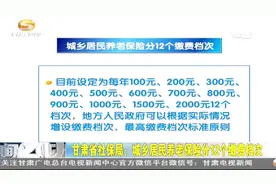 甘肃省社保局：城乡居民养老金保险分12个缴费档次视频封面