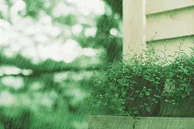 预报的雨下起来了！暴雨就要来了！你这么漂亮，可别被淋到啊图片