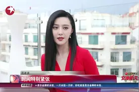 戛纳不是走过场！范冰冰：找所有的人聊电影！视频封面