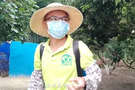 广东粤西地区连续暴雨，导致荔枝发霉，农民的路在何方？视频封面