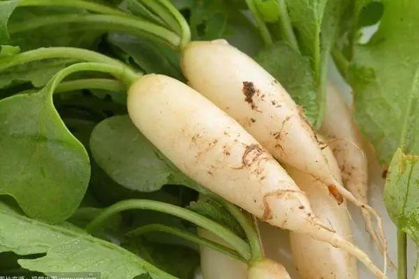 都叫芸苔素内酯，为什么差别那么大？应该正确认识