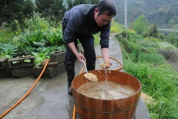 都叫芸苔素内酯，为什么差别那么大？应该正确认识