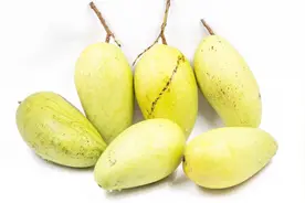 吃了10年芒果才知道，用牙签一挑，不浪费一点果肉还能轻松剥皮