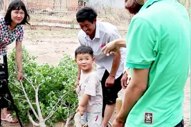 农村一家人下地干活，3岁宝宝对爷爷说悄悄话，瞬间把爷爷逗乐了视频封面