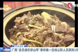 香港男子考察广西 官员请吃穿山甲 涉事官员因受贿获刑10年半视频封面
