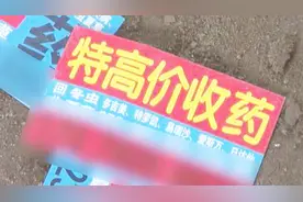 专挑老年人！房山警方抓获收药团伙，案值数十万视频封面