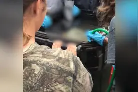 艰难的一课：美高中老师教学生溺死浣熊视频封面