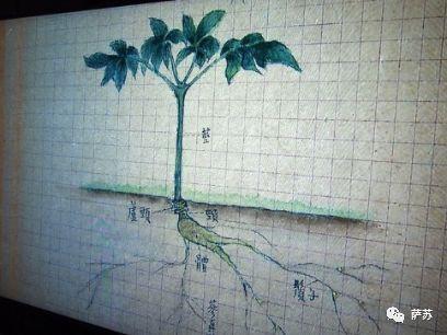 战斗民族用了什么怪招，让鞋带都不会系的溥仪在苏联爱上了种菜