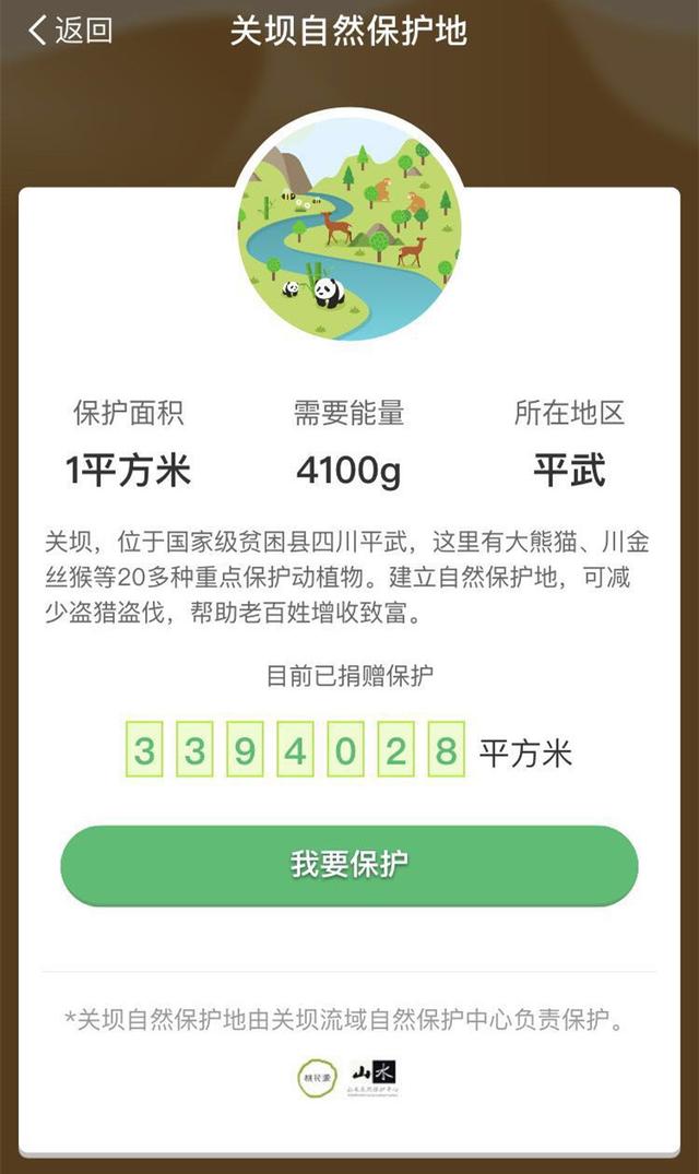 支付宝蚂蚁森林有什么用支付宝蚂蚁森林种（支付宝蚂蚁森林升级4100g绿色能量）