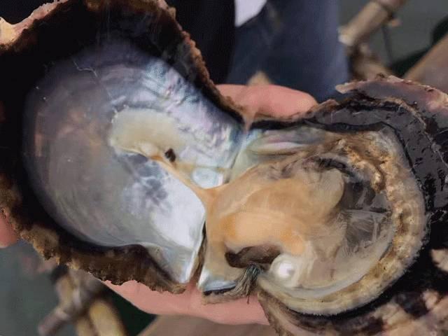 抹上它，素颜出门不怕晒！