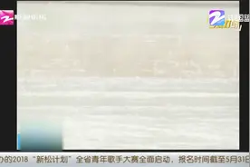 十一级大风还有两厘米大的冰雹，安徽多地遭遇暴雨冰雹，树木倒伏视频封面
