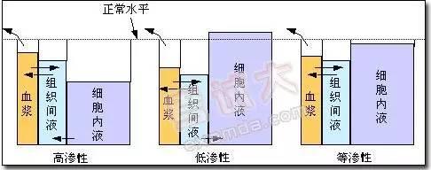 夏季跑步，你该喝多少水？︱运动知识