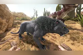 方舟生存进化 焦土夏日大冒险 第15期 这么多的鳄鱼你敢靠近吗视频封面