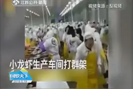 小龙虾满天飞！小龙虾生产车间打起群架 连盆端起一起扔视频封面