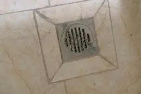 原来夏天卫生间里的蚊虫是地漏中跑出来的，教你彻底杀灭蚊虫