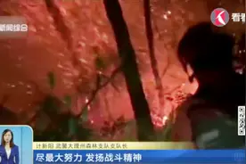 突发！云南大理苍山发生森林火灾 火势凶猛染红夜空视频封面