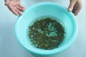 脸上油腻腻的怎么办？别急，美容师教的小妙招，去油效果非常好视频封面