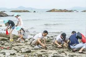 去泰国旅游，为什么法律禁止捡拾珊瑚贝壳？看完你还要捡么视频封面
