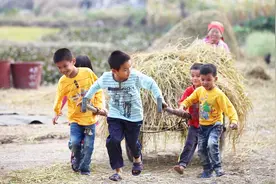 我国未来十年内的农业发展趋势，农民朋友们要抓住机会！视频封面