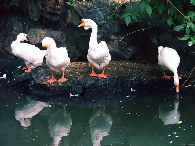 绍兴旅游团 绍兴旅游团电话(图7) 绍兴旅游团 绍兴旅游团电话(图7)