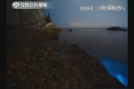 大连现“荧光海” 海水发蓝光似梦幻 为生物发光现象视频封面