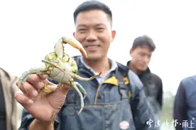 全国首创！东海青蟹“安家”黄河边，背后是宁大科研人坚守的初心图片