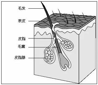 怎么洗澡才能去除身上的鸡皮疙瘩