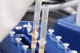 香港大学研制出可以根治艾滋病的药物，力争3到5年开展临床试验视频封面