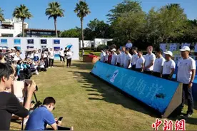 中国海龟保护联盟三亚宣告成立 37只海龟回归大海图片