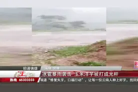 镇雄：冰雹暴雨下了一个半小时 县城街心花园被淹视频封面