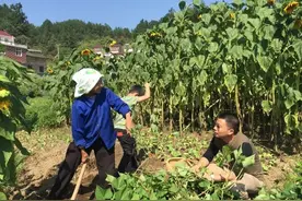 熄灯号丨妈，我想您了图片