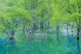 生活，浓淡相宜；人心，远近相安图片