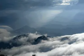 高山杜鹃：5月起花开铁瓦殿，记得云海中来看我图片
