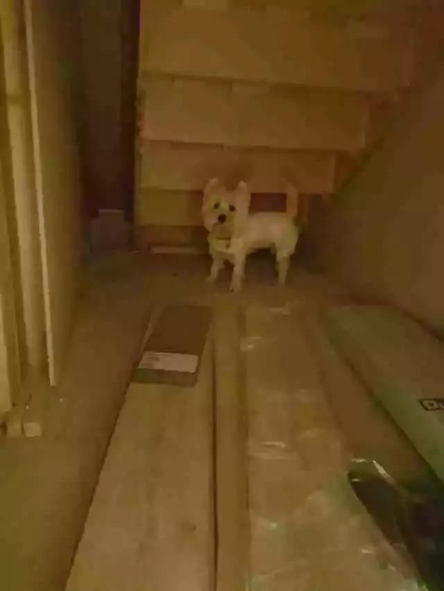 ӻк˸һСѣůĺа