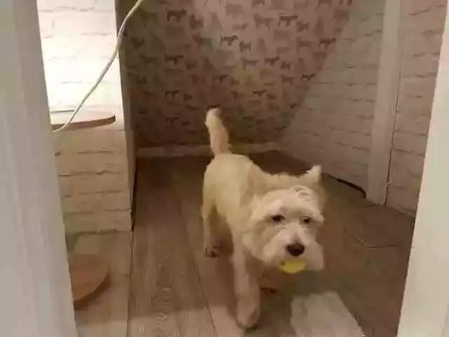 ӻк˸һСѣůĺа