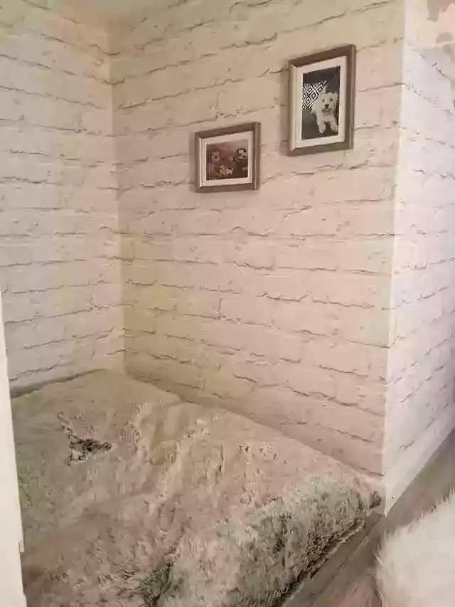 ӻк˸һСѣůĺа