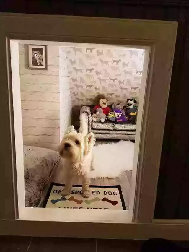 ӻк˸һСѣůĺа