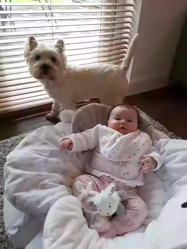 ӻк˸һСѣůĺа