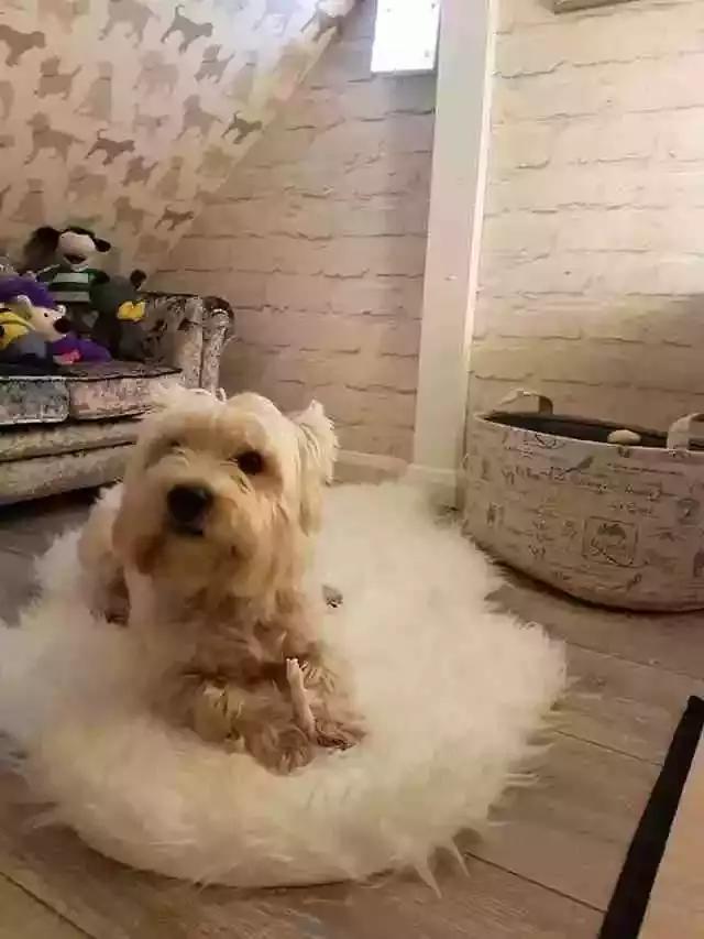 ӻк˸һСѣůĺа