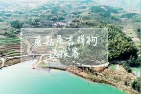 选蘑菇屋吉祥物了！小H、小O、点点、彩灯……你猜会是谁？