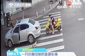 小狗路上追骑电动车孕妇 引发连环车祸 谁来买单？视频封面