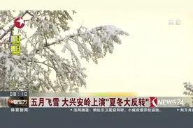 一秒入冬！大兴安岭“夏冬大反转” 五月飞起鹅毛大雪！视频封面