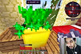 我的世界魔鬼炼狱9 在金块上才能长出来的附魔胡萝卜