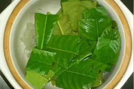 肺热干燥一直咳，多吃点这3种食物，清热化痰快速止咳视频封面